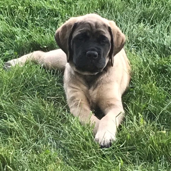 BUNDLE!! 2 is better than one!! - Picture 2 of 2